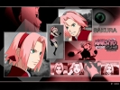 Sakura
naruto 