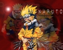 Naruto
naruto 