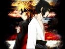 Naruto & Sasuke
naruto 