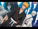 Bleach
Bleach 