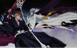 Bleach
Bleach 