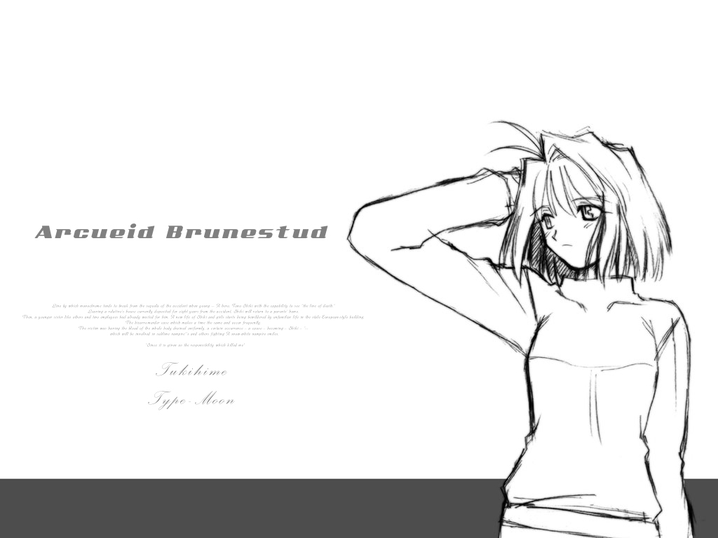 Tsukihime прохождение схема на русском