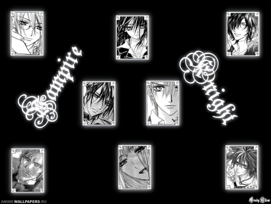 Vampire Knight
Vampire Knight