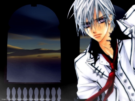 Vampire Knight
Vampire Knight