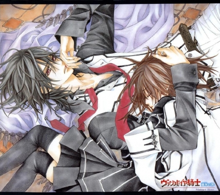 Vampire Knight
Vampire Knight