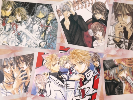 Vampire Knight
Vampire Knight