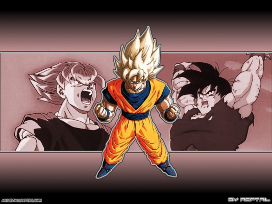 Dragon Ball Z
Dragon Ball Z