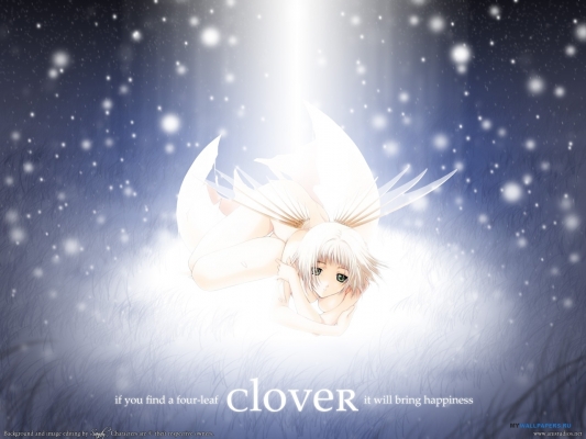 Clover
Clover