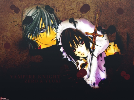 Vampire Knight
Vampire Knight