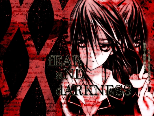 Vampire Knight
Vampire Knight