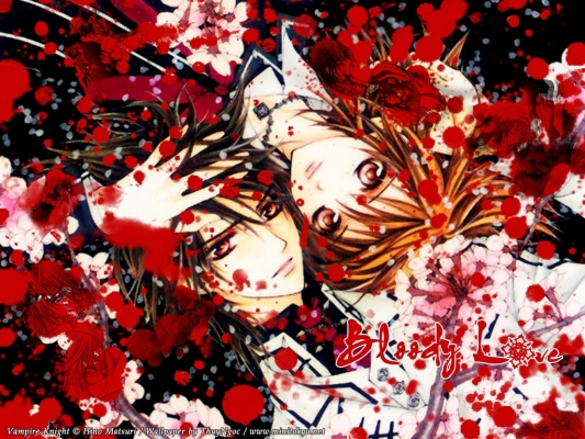 Vampire Knight
Vampire Knight