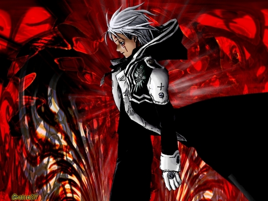 D.Gray man
D.Gray man