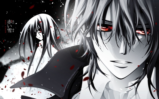 Vampire Knight
Vampire Knight