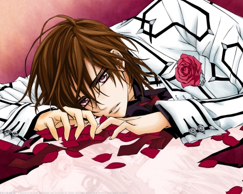 Vampire Knight
Vampire Knight