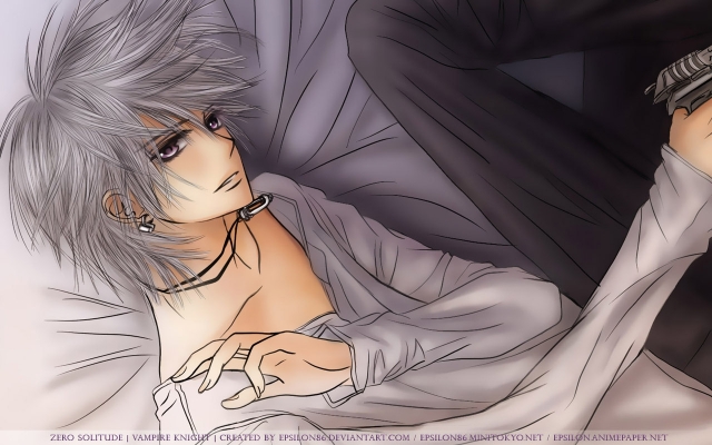 Vampire Knight
Vampire Knight