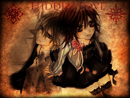 Vampire Knight
Vampire Knight