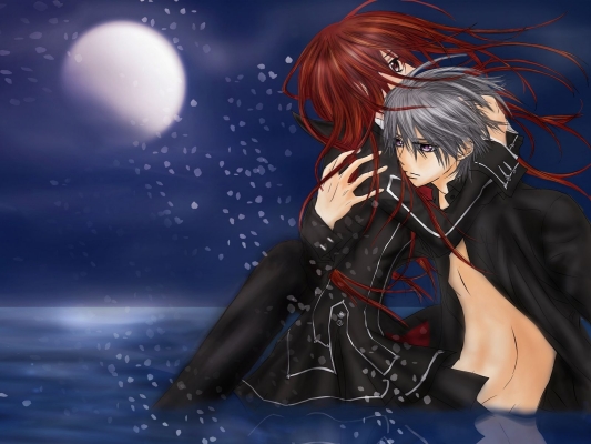 Vampire Knight
Vampire Knight