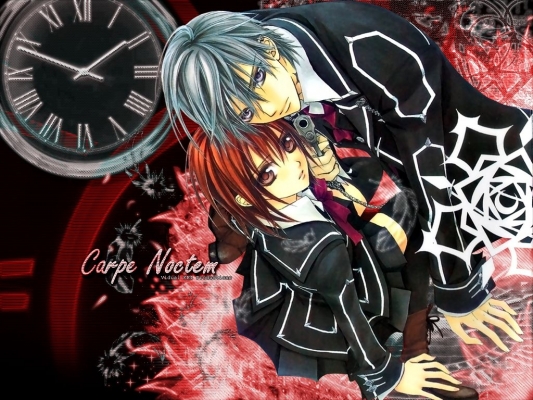 Vampire Knight
Vampire Knight