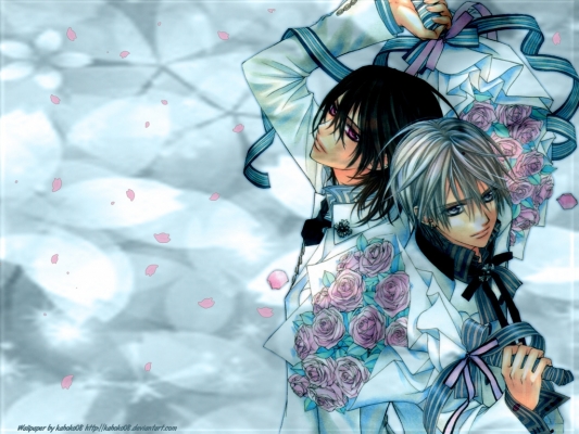 Vampire Knight
Vampire Knight