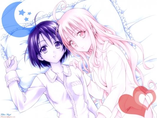 ToLoveRu
ToLoveRu