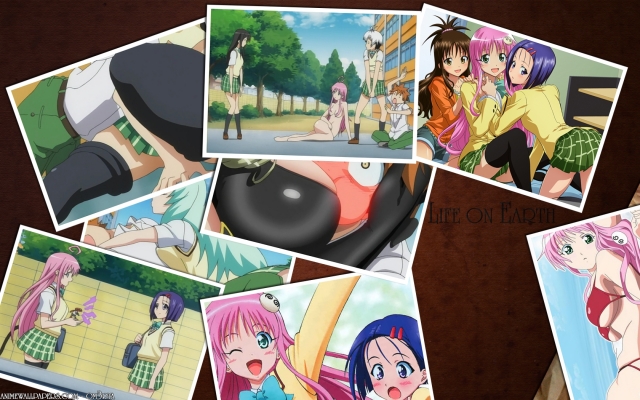 ToLoveRu
ToLoveRu