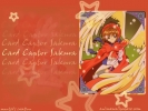 Card Captor Sakura
Card Captor Sakura