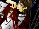 Vampire Knight
Vampire Knight