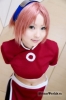   , Cosplay Haruno Sakura
naruto cosplay    Haruno Sakura  