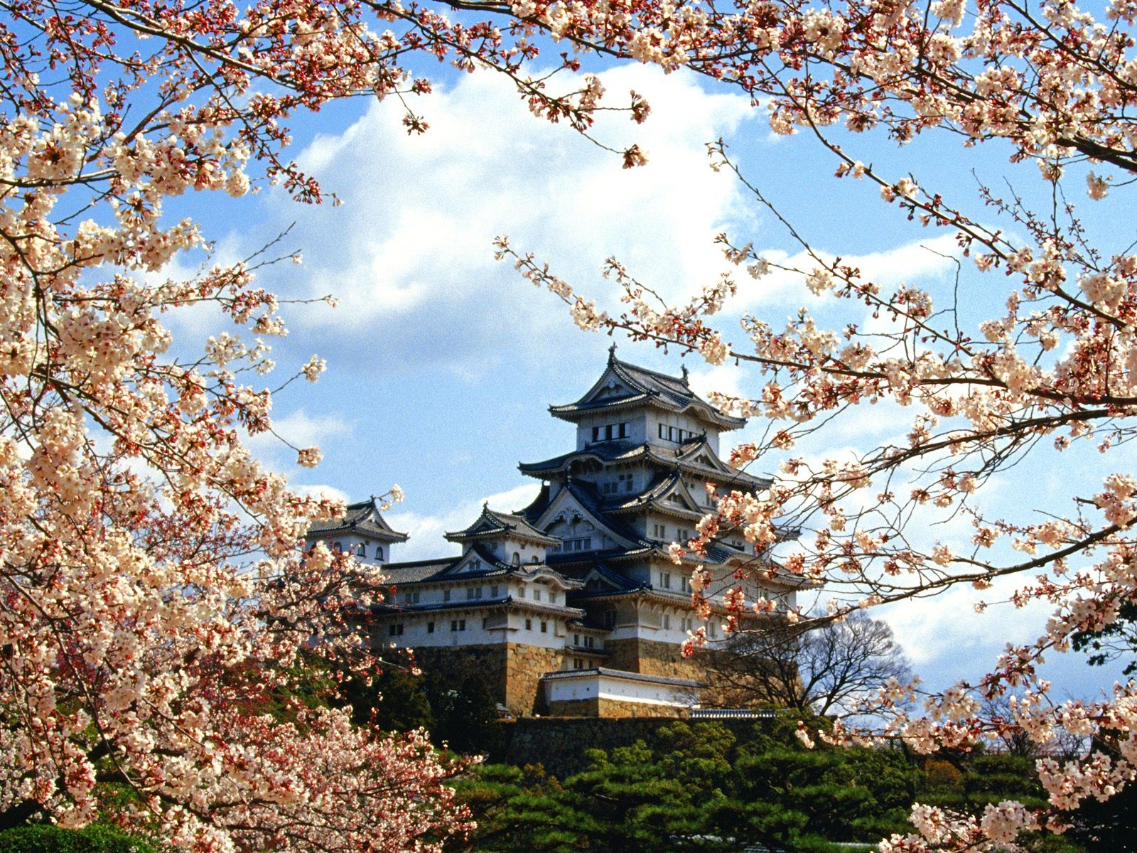 Himeji-jo, Castle, Himeji, Kinki, Japan, Sakura