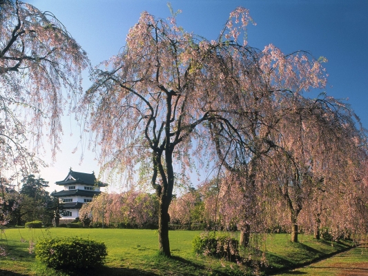 Castle Hirosaki, Japan
