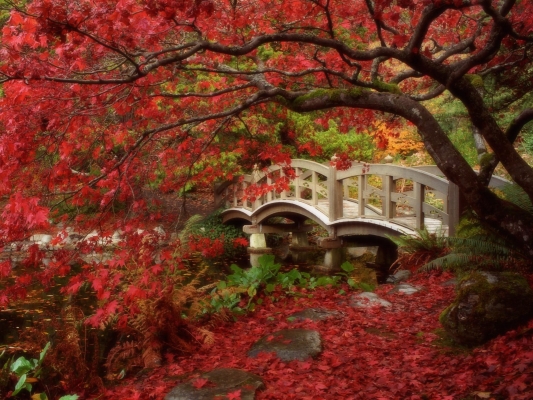 Japanese Garden, Royal Roads University, British Columbia
