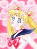   
Sailor moon, ,  ,  ,  , , ,