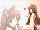    4
   spice and wolf