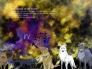 WF15
  Wolf's Rain