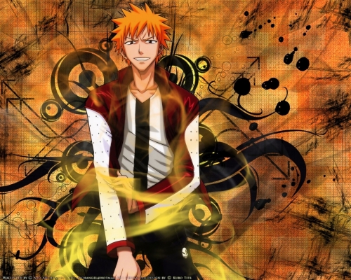 Bleach 
Bleach  