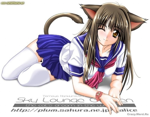 1220193177_630hp
cat girls neko hentai 