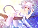 gallery_23917_14_28206
hentai cat girl anime 