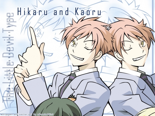 Kaoru & Hikaru
Ouran High School Host Club