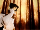 Kara no Kyoukai - The Garden of Sinners (  -  )
Kara no Kyoukai - The Garden of Sinners (  -  )