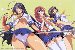   Ikkitousen: Shuugaku Toushi Keppuu-roku