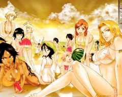 bleach anime