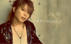  T.M.Revolution   Rock of Ages