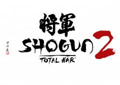    Total War: Shogun 2