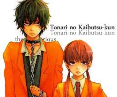      Tonari no Kaibutsu-kun