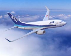 All Nippon Airways - ANA