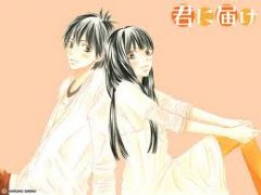   Kimi ni Todoke   DS