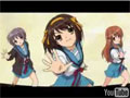 AMV - The Melancholy of Haruhi Suzumiya - Skittles