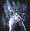 White_Wolf