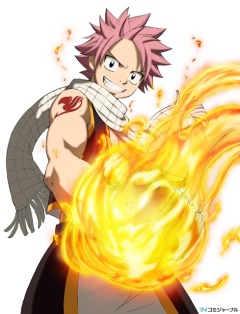 Fairy Tail, Feari Teiru,  , , anime, 