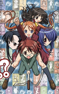 Negima!?, Negima!?, !? , , , anime